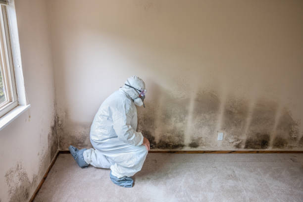 Best Crawl Space Mold Removal  in Wendell, NC